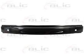 SINA ZADNJEG BRANIKA